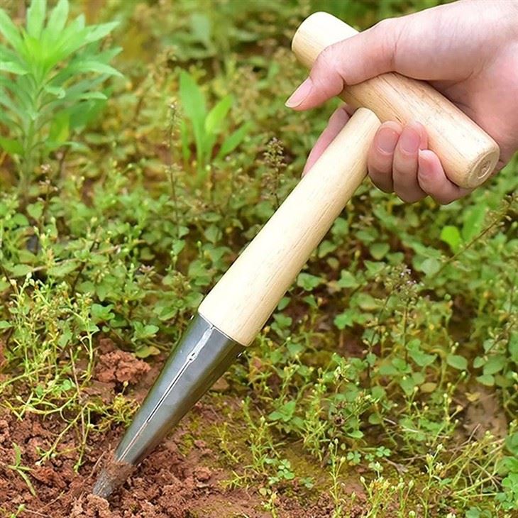 Stainless Steel Garden Dibbler-3